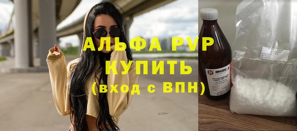 гидра Новозыбков